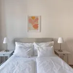 Studio Apartment Near University